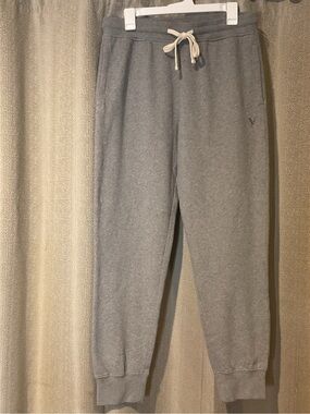 American Eagle Outfitters Super Soft Gray Men's Jogger Sweatpants M